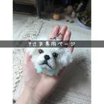 Yさま専用ページ✨うちの子編みぐるみオーダーメイド