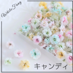 キャンディ✡かすみ草◆ドライフラワー　花材