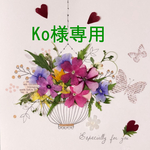 専用ページ　Ko様専用
