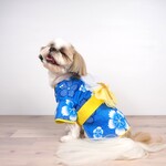 犬服　犬用浴衣　4号　なでしこ　ブルー　小型犬　中型犬　犬　猫　ランマルシェ　ranmarche