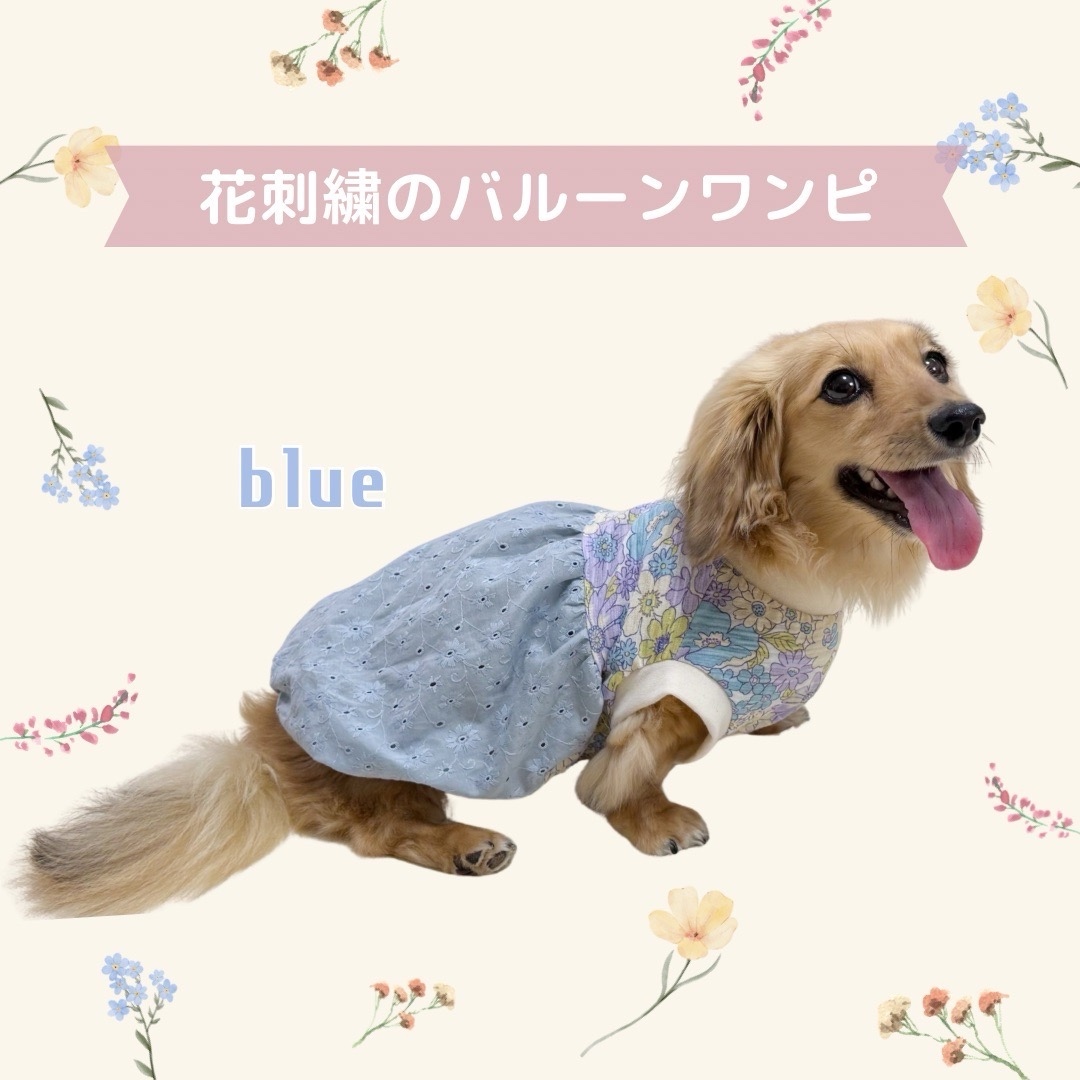 MANDARINE BROTHERS 犬 服 夏 マンダリンブラザーズ ドッグ