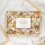 ゲスト参加型　結婚証明書　写真も飾れる　リングピロー　80名セット（希望本数対応可）9503 アイボリー　両親贈呈　誓約書