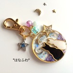 *天体観測*流れ星*5
