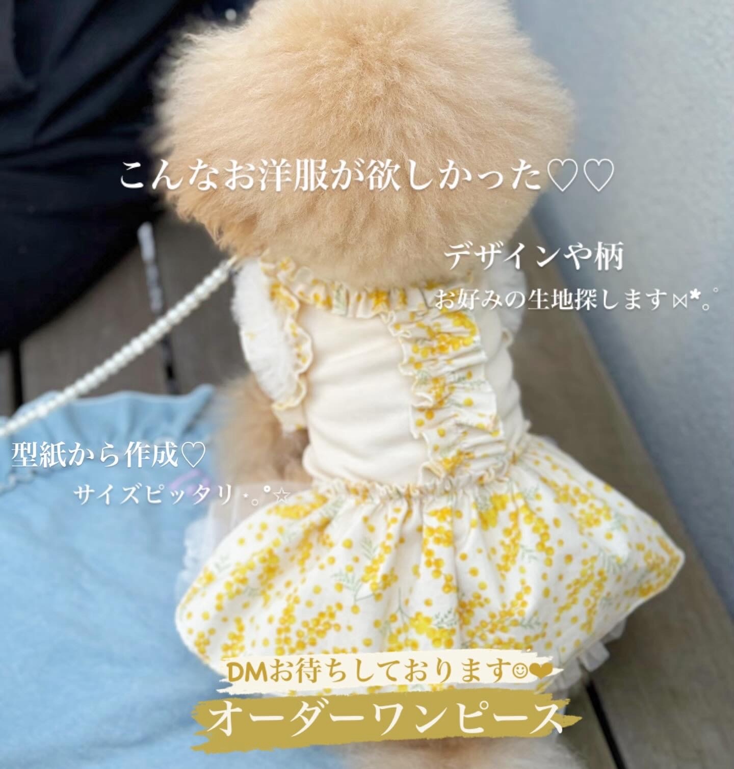 ミモザ - ペットグッズの人気通販 | minne byGMOペパボ 国内最大