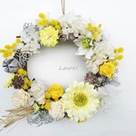mimosa+lemon yellow(23cm)