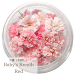 【国産・少量(お試し)】かすみ草　レッド　ドライフラワー  高品質　ハンドメイド用　花材