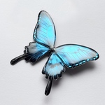 アゲハチョウ〈metallic light blue〉