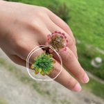 多肉植物 オリジナルカラーのリング🪴
