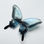 アゲハチョウ〈mossblue〉
