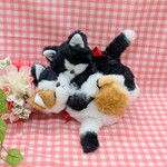仲良しにゃんこ😺
