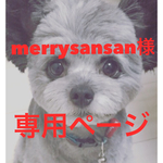 merrysansan様専用ページ