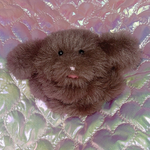 にっこしわんわん