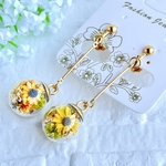 金箔入り◎ 本物のお花かすみ草使用｜向日イヤリング・ピアス