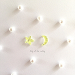 *･゜ﾟ･*:.月と星.:*･゜ﾟ･*