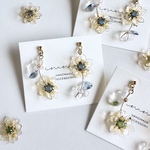 Summerピアス/イヤリング