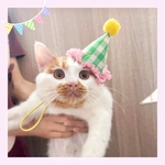 【犬用｜猫用party hat】現品限り 即発 パーティーハット　誕生日グッズ　誕生日準備　帽子　ペット　クラウン　犬　わんこ　猫　うさぎ　わんちゃん