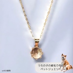 世界に一つだけのペットジュエリー💎うちの子ジュエリー　被毛アクセサリー　遺毛アクセサリー　遺毛ジュエリー　遺毛ネックレス