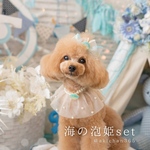 🐚 海の泡姫set🫧 （つけ襟、ケープ、犬、猫、うさぎ、誕生日、記念日）