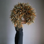 グレビリアと実の大きなリース