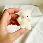 ちいちゃいくまちゃん＊きいろ＊ぬいぐるみ