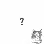 ？セット