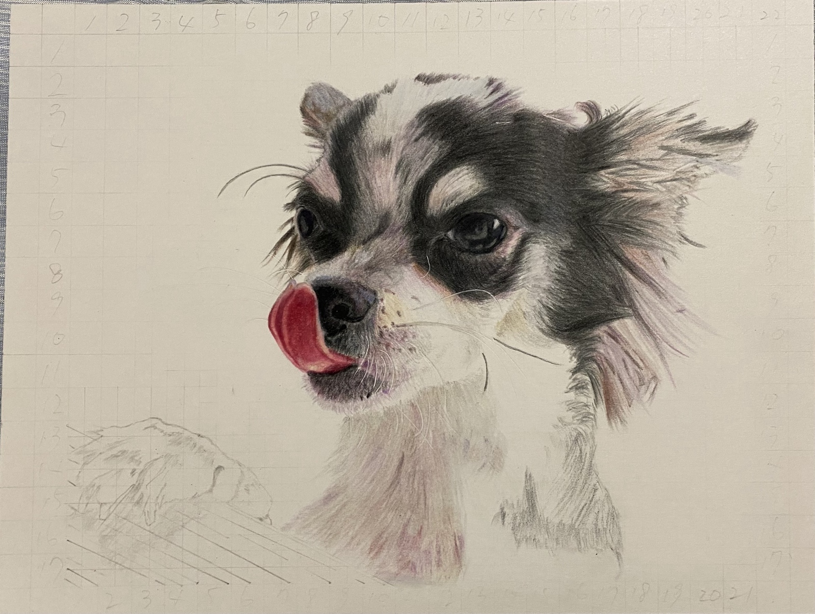 ペット色鉛筆画 チワワ 犬 オーダーメイド - pupu33-kebin | minne