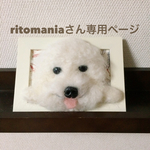 羊毛フェルト 額縁犬 オーダー