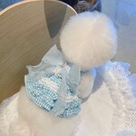 【ハーネス】ペット服・青チェックワンピース形ハーネス