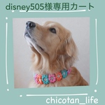 ⭐︎disney505様専用カート⭐︎他の方のご購入はお控えください