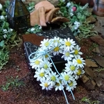 ミニチュアの花「爽やか…ディジーのリース」