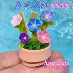 朝顔　～あさがお～　ミニチュア