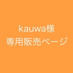 【kauwa様　専用販売ページ】シュリンクヌメのバイブルサイズシステム手帳
