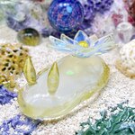 U1295［フローリス］宇宙を宿すガラスのウミウシ