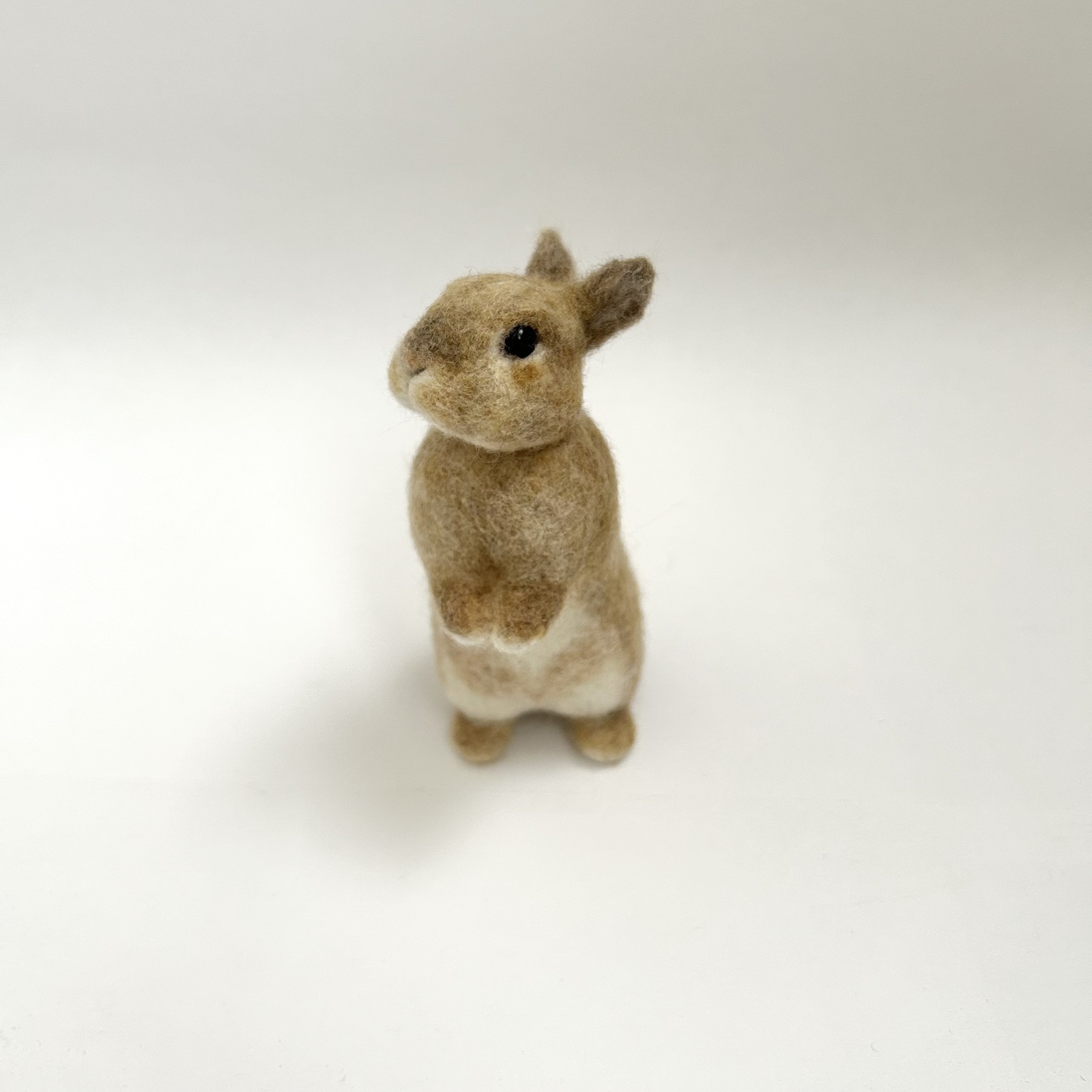 登場! うさぎ 羊毛フェルト ふわふわ もふもふ ライオンラビット 羊毛フェルト