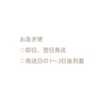お急ぎ便(即日・翌日発送)