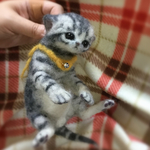 おねがいにゃんこNo.149