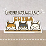 柴犬ひょっこりマグネットステッカー