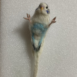 ※専用ページです※you-1qp様のセキセイインコちゃんです。羊毛フェルト