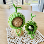 🍈メロン 帽子 
