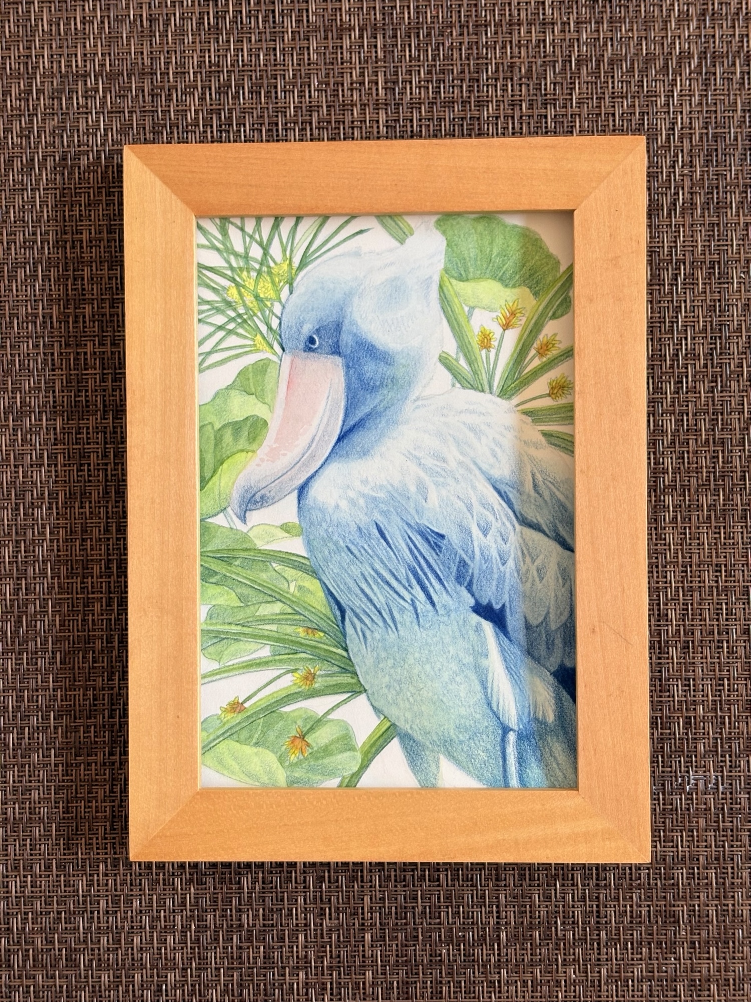 ハシビロコウ 水彩画・色鉛筆画 - momocky1989 | minne byGMOペパボ