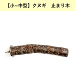 【中型インコ向け】自然木の止まり木