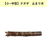 栗の木(長さ27.8cm / 太さ2.2cm)
