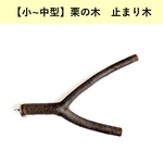 栗の木(長さ19.3cm / 太さ2.6cm)