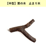 栗の木(長さ17cm / 太さ2〜3cm)