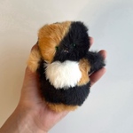 小さなサビ猫②