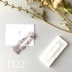 H22
