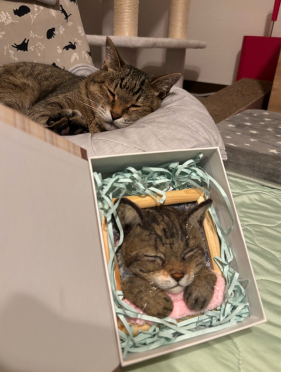 🐱猫雛🎎 ケース付き 羊毛フェルトと、着物はちりめん風は生地で