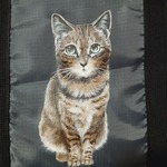 再販なし【お名前入れ無料】保冷ショッピングバッグ　キジトラ猫ちゃん