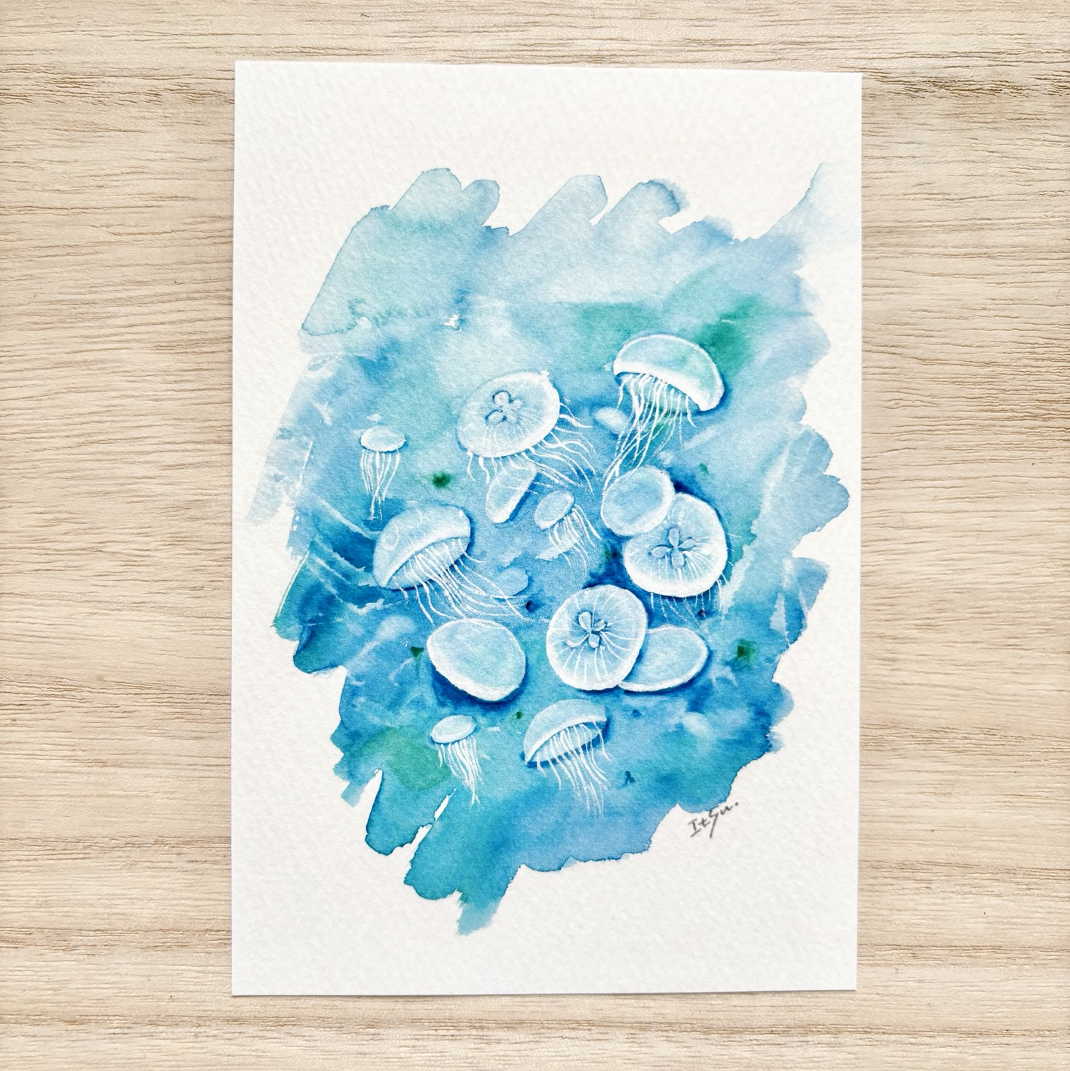 🪼透明水彩画 2枚セット「涼しげクラゲ」イラストポストカード 海