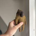 アヌビスヒヒのキーホルダー